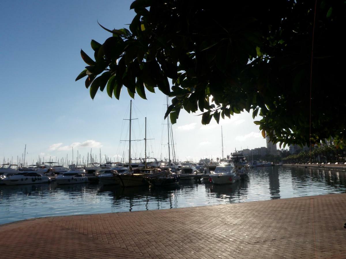 Sanfernando14 Διαμέρισμα Αλικάντε Εξωτερικό φωτογραφία